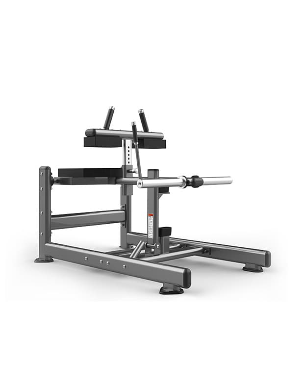 Seated Calf Raise
