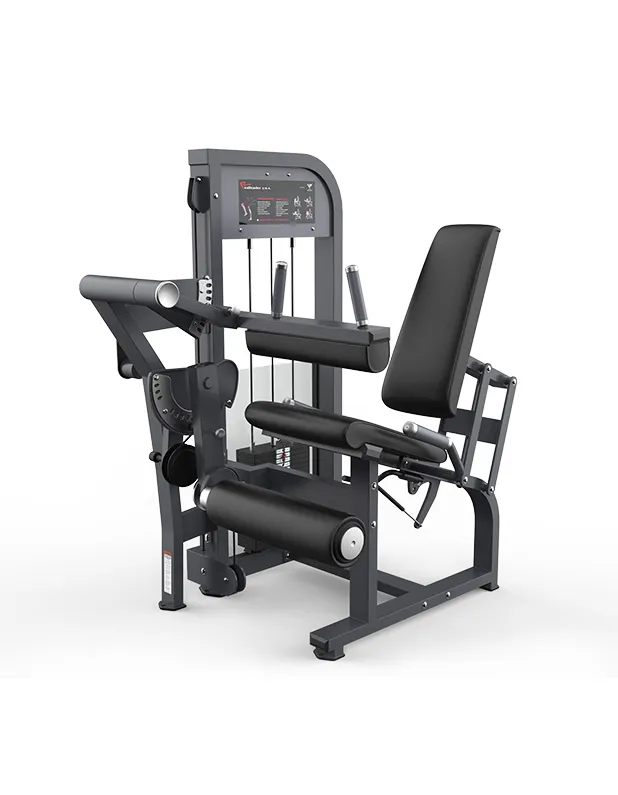 Leg Extension & Seated Leg Curl Combo